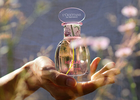 Herbae par L'OCCITANE en Provence | The Fragrance Of Natural ...